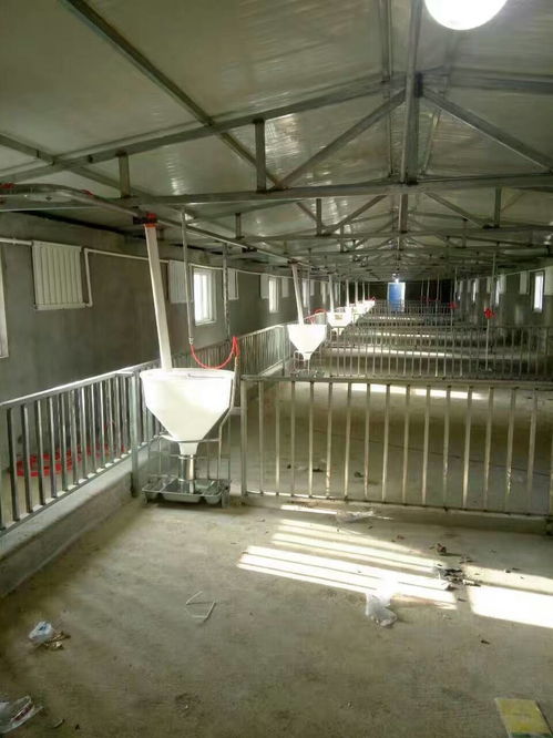 世昌畜牧2.1*6熱鍍鋅母豬限位欄 堅固耐用，保障養殖環境衛生