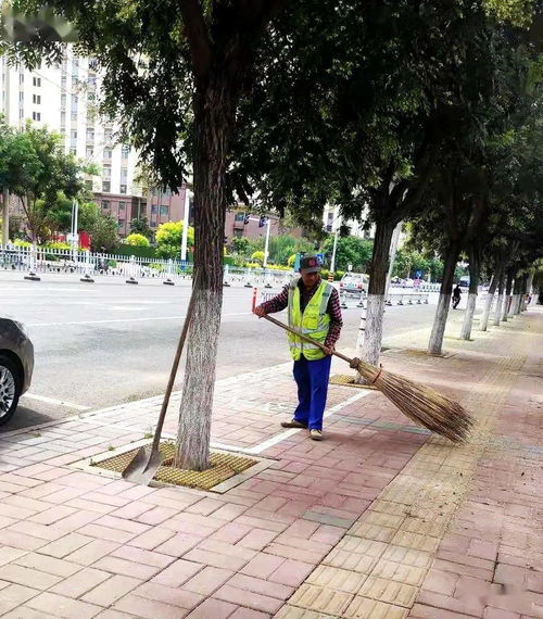 槐花飄香滿城道，環衛揮帚護潔忙——市政環衛全力保障春季環境衛生與設施服務